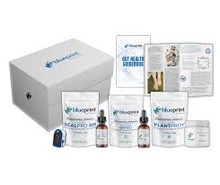 What Is the Metabolic Program?