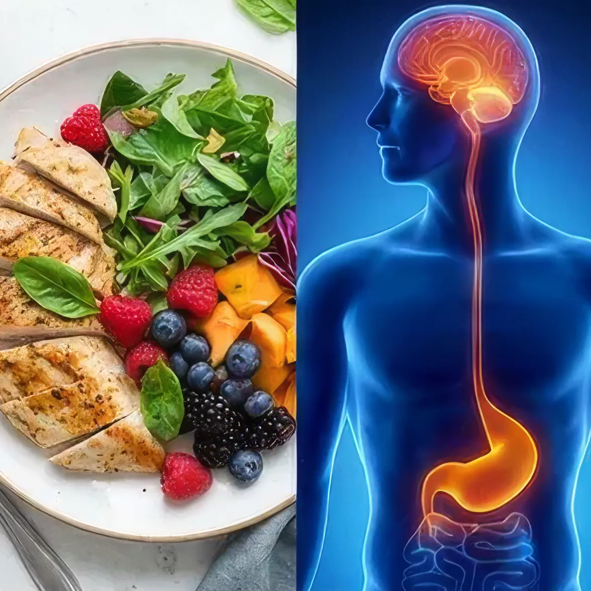 Metabolic Health KS